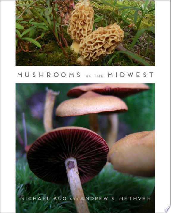 Mushrooms of the Midwest by Andrew S. Methven book cover