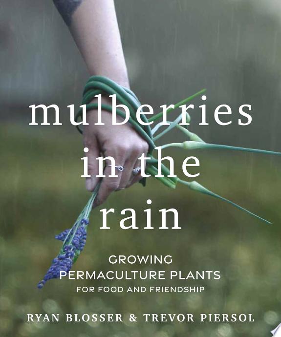 Mulberries in the Rain by Trevor Piersol book cover