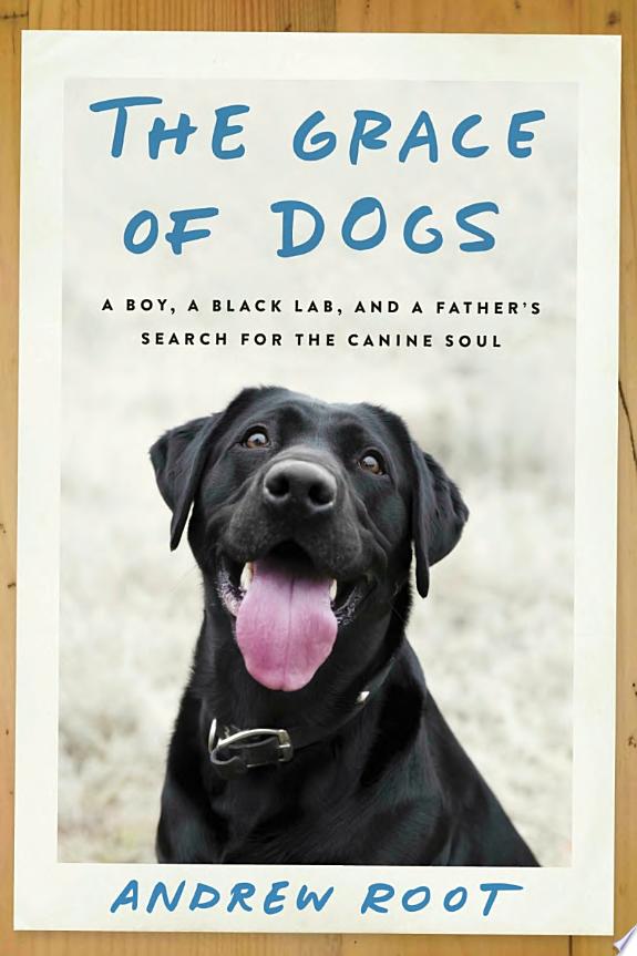 The Grace of Dogs by Andrew Root book cover
